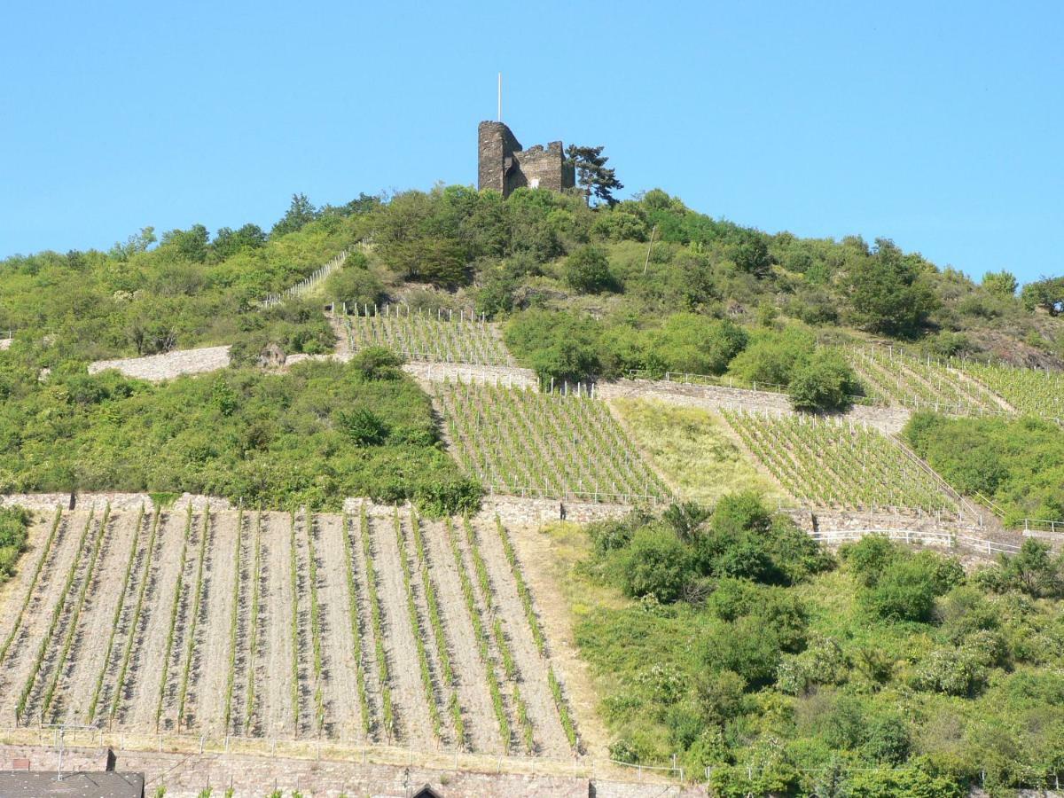 Gaestehaus Cheval Blanc ロルヒ・アム・ライン エクステリア 写真